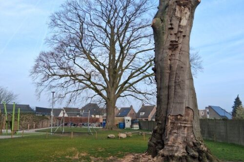 2026-03-19 Eerde F-AvdBurgt (10)