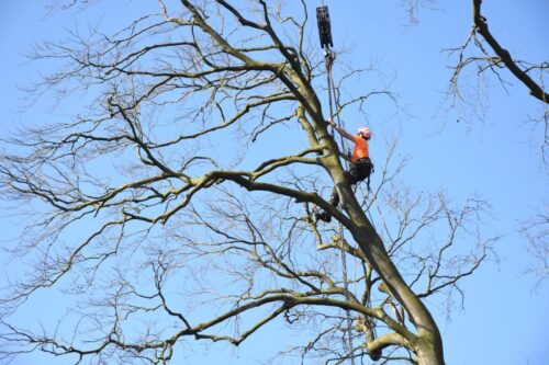 2026-03-19 Eerde F-AvdBurgt (4)