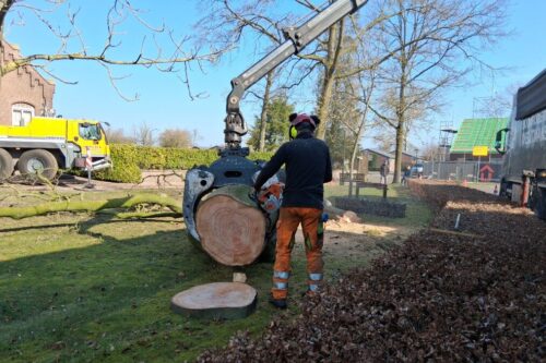 2026-03-19 Eerde F-AvdBurgt (8)