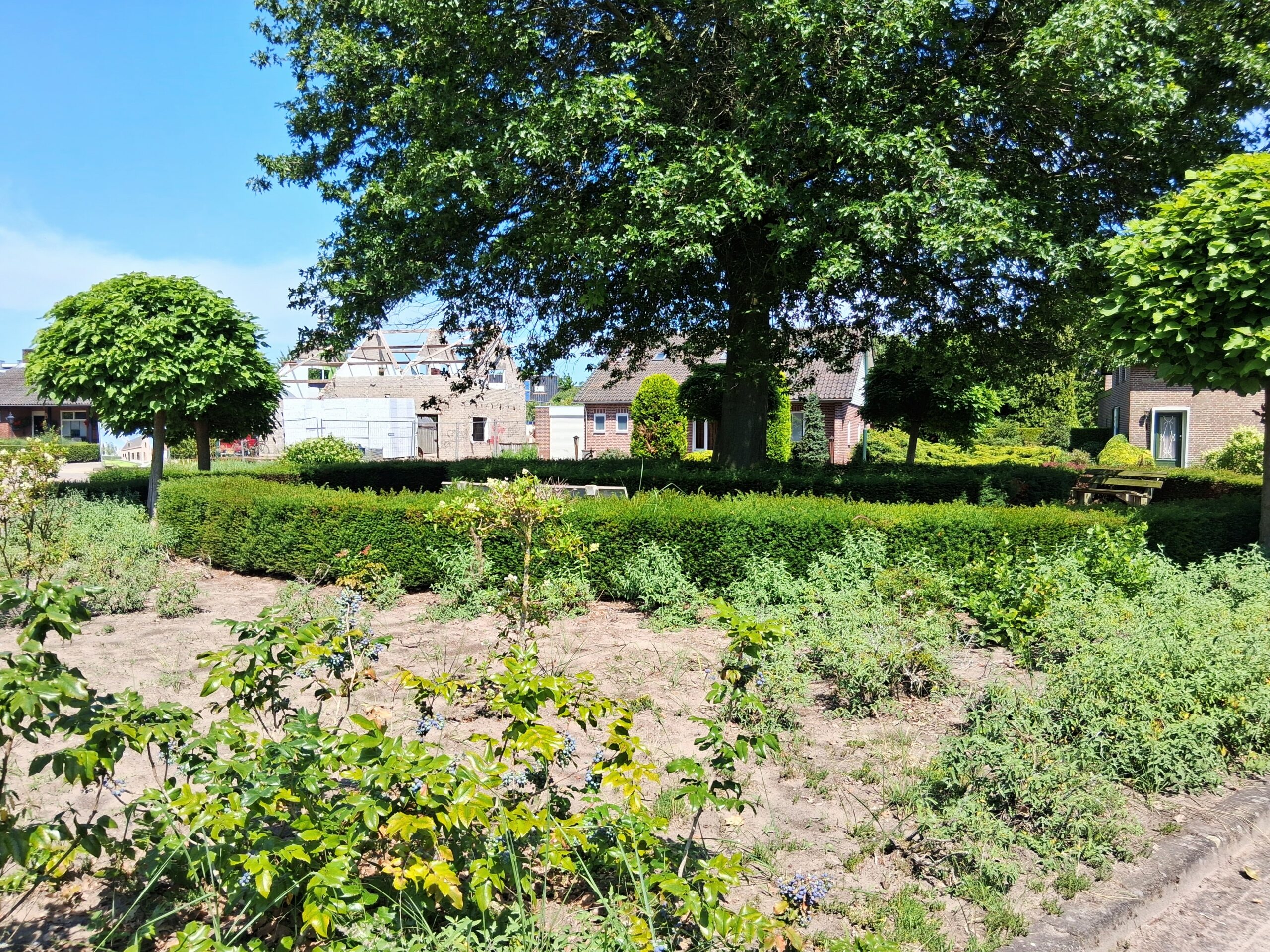 Groenadoptie of groen in eigen beheer